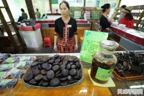 光遇雨林探险，揭秘玫瑰花朋友的神秘踪迹与最新活动指南