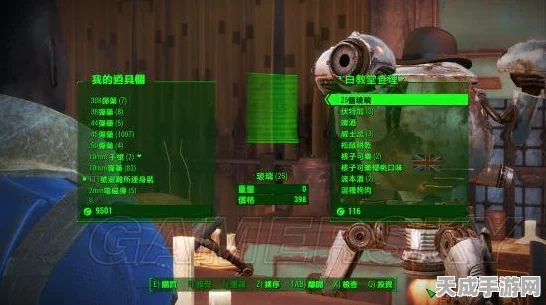 辐射4深度解析，最强流派揭秘与属性代码全攻略