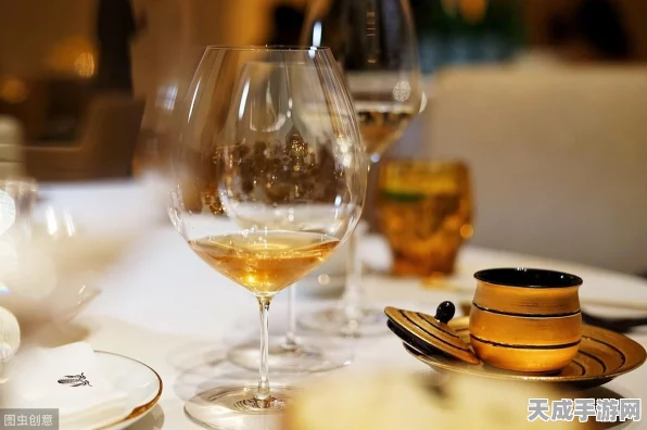 口袋妖怪红宝石金手指秘籍，解锁游戏新境界的详尽指南