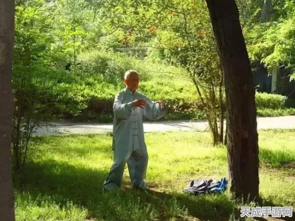 元气骑士揭秘，退休骑士的非凡作用与最新动态
