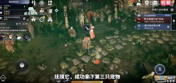 探秘黑色沙漠手游，华丽空壳宝藏位置全解析及攻略指南