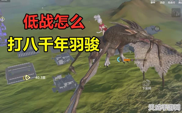 妄想山海，独家揭秘！千年羽骏单刷绝技与实战攻略