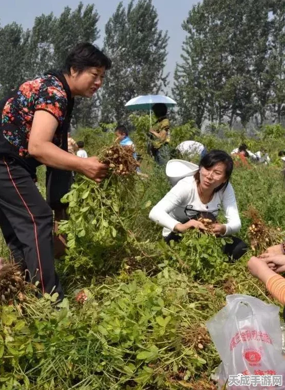 揭秘不思议迷宫高效刷果秘籍，世界树果实速取攻略
