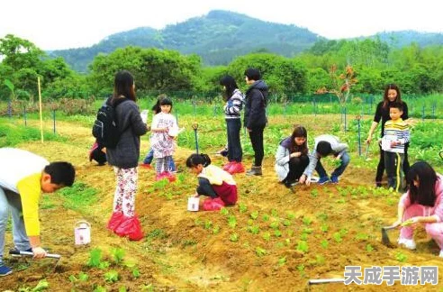 揭秘不思议迷宫高效刷果秘籍，世界树果实速取攻略