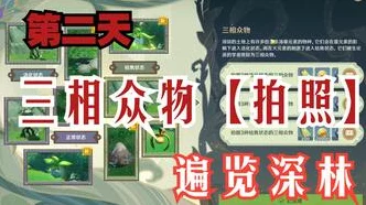 原神雕琢童心掠影拾真，全面攻略解锁，童心奇遇之旅启程