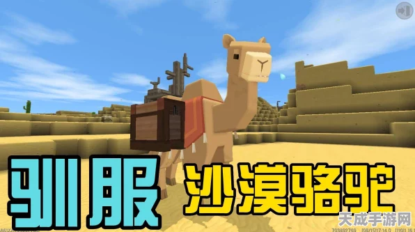迷你世界探险指南，揭秘骆驼驯服全攻略