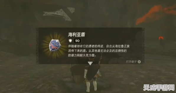 塞尔达传说王国之泪，海利亚盾耐久重生秘籍，高效修复技巧大揭秘