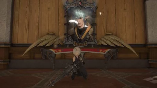 FF14新人指南，揭秘最佳服务器选择，助你畅游艾欧泽亚！