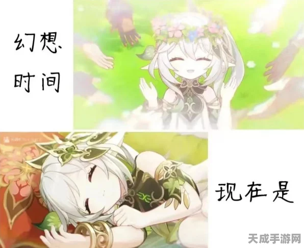 蔷薇绽放之夜，原神千夜之一夜试用角色高效通关秘籍