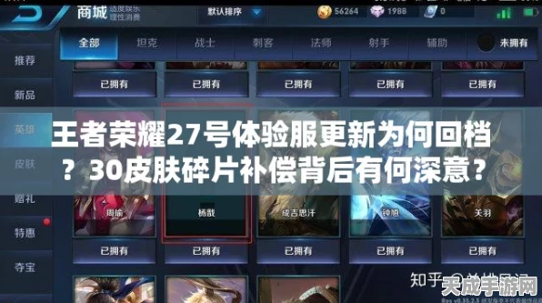 王者荣耀体验服资格回收真相，规则变动与资格保留策略揭秘