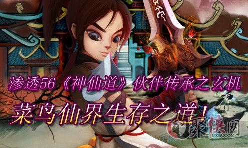 神仙道传承系统深度解析，解锁角色新境界的奥秘