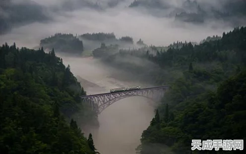 口袋妖怪重制，常磐道馆高手进阶攻略，速通技巧与实战策略揭秘