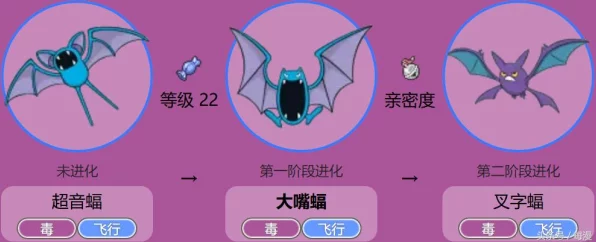 口袋妖怪重制，常磐道馆高手进阶攻略，速通技巧与实战策略揭秘