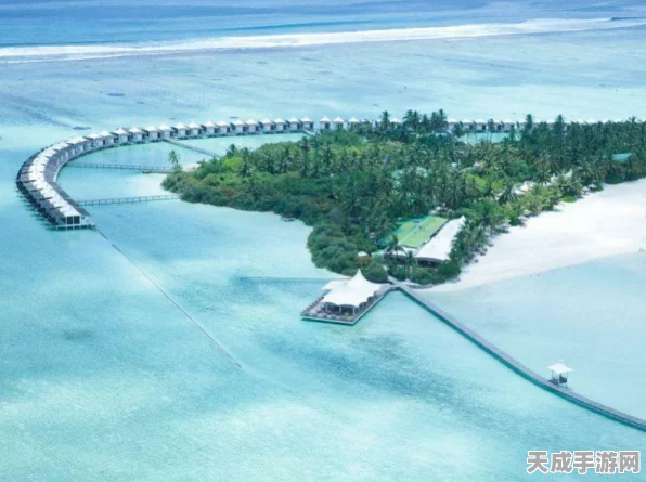 食物语喵园乐游第五关深度攻略，解锁通关秘籍，畅享游戏乐趣