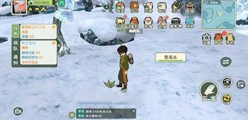 小森生活探秘，雪莲宝藏地图大公开，刷新地点全攻略