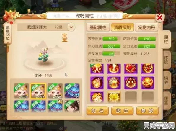 梦幻西游手游新手攻略，从零开始的极速成长之旅
