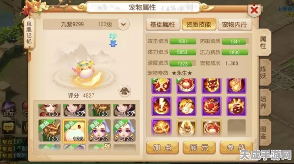 梦幻西游手游新手攻略，从零开始的极速成长之旅