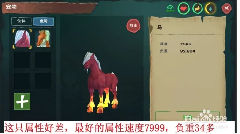 创魔马赫斯饲料制作秘籍，解锁创造与魔法中的珍稀宠物喂养之道