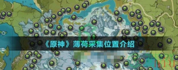 原神玩家必看，高效获取薄荷攻略，揭秘高刷新率地点与购买渠道