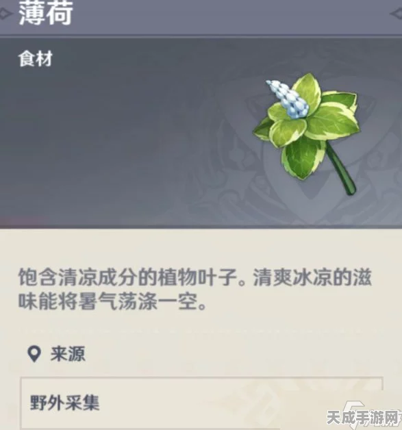原神玩家必看，高效获取薄荷攻略，揭秘高刷新率地点与购买渠道