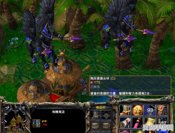 魔兽争霸3市场珍宝大揭秘，玩家最爱的神秘物品揭晓