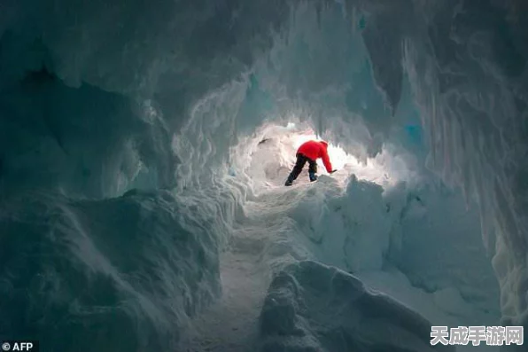 暖雪山巅的秘信，解锁神秘奖励的终极攻略