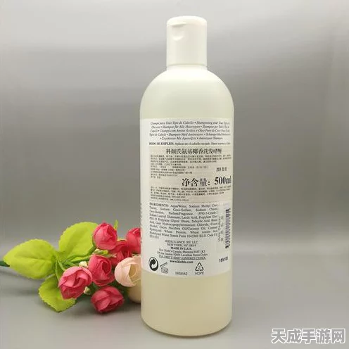 宝藏世界，揭秘角色飞速升级的独家秘籍