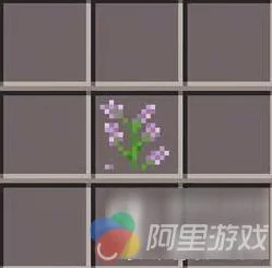 我的世界紫色染料合成秘籍，解锁步骤+网友热议+独家技巧大公开