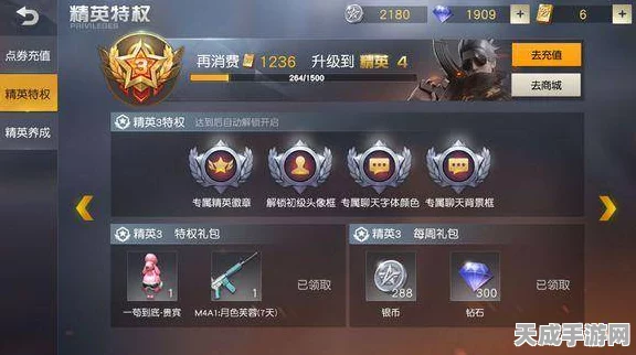 暗区突围等级揭秘，解锁特权与战力的双重飞跃