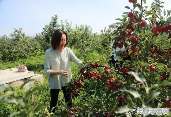 烟雨江湖深度解析，药王经武学属性与技能效果全揭秘