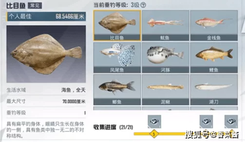 和平精英钓鱼大赛深度解析，每日钓鱼上限及比赛细节揭秘