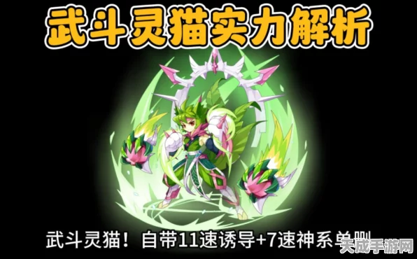 洛克王国竞技揭秘，武斗灵猫进化全攻略，登顶战斗荣耀之路