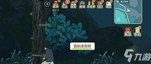 小森生活，揭秘香脂万顷树高效采集攻略与刷新位置