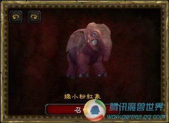魔兽世界美酒节，粉色小象捕捉全攻略与技能速得秘籍