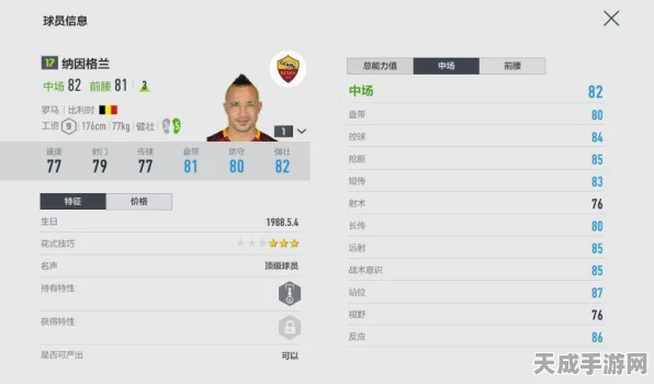 FIFA足球世界，揭秘顶级中锋，谁才是球场上的霸主？