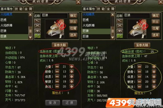帝国神话，兽筋获取秘籍大公开，助你打造顶级装备！