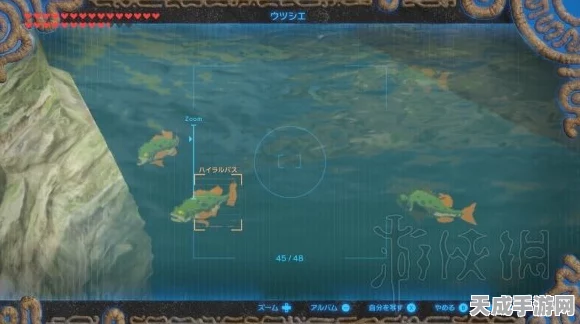 光遇珍稀海浪斗篷获取全攻略，揭秘高效收集技巧与活动细节