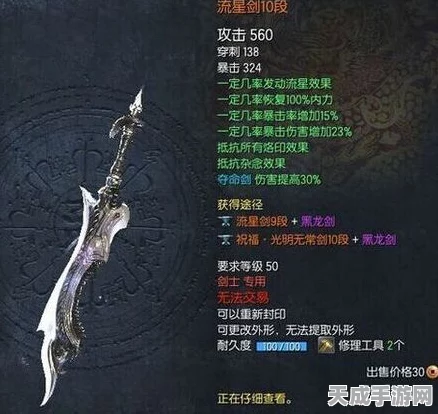 剑灵流星武器，保值神话能否延续？深度剖析其市场价值