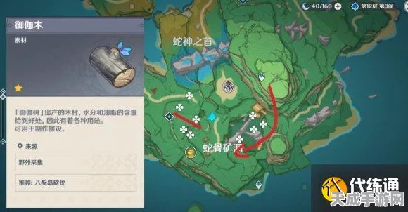 原神探索指南，揭秘孔雀木富集地，高效采集点位大公开