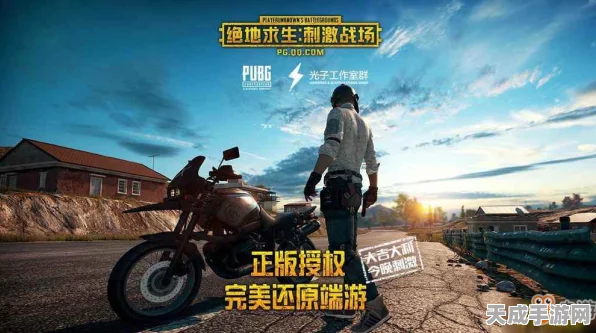 绝地求生DPI揭秘，精准调控，助你战场称霸！