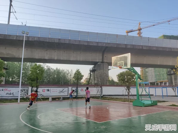 街头篮球元旦庆典，个性空间焕新颜，互动增益乐翻天