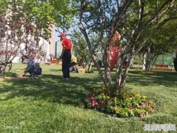 街头篮球元旦庆典，个性空间焕新颜，互动增益乐翻天
