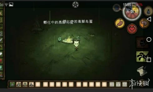饥荒手游，揭秘蜂箱围起的智慧与生存策略