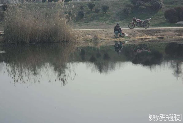 黑色沙漠鱼类分布全揭秘，钓鱼爱好者的终极指南
