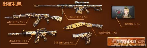 穿越火线全球外服，武器库大揭秘，解锁顶尖装备的战斗艺术