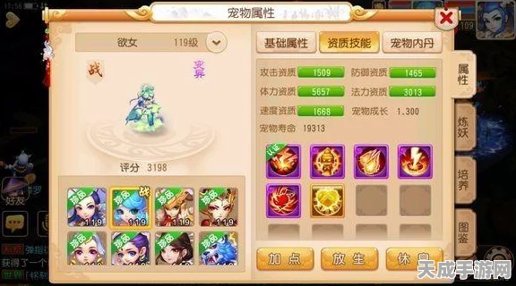 梦幻西游手游宠物养成秘籍，高效培养与精准加点全攻略