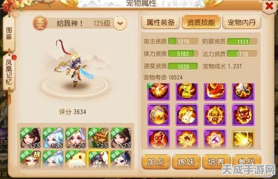 梦幻西游手游宠物养成秘籍，高效培养与精准加点全攻略