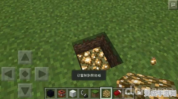 揭秘我的世界，打造神秘隐藏光源的绝妙技巧