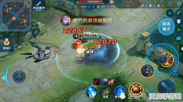 王者荣耀新版本战士秘籍，解锁从青铜到王者的实战攻略