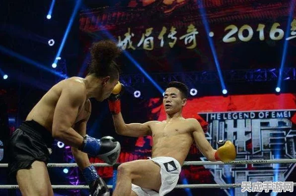 DNF手游格斗家精进之路，深度解析技能加点、转职策略与实战技巧